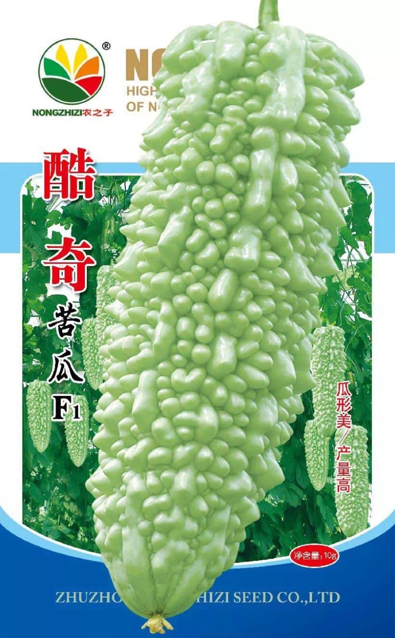 酷奇珍珠苦瓜种子密刺苦瓜收获大耐热基地专用春秋