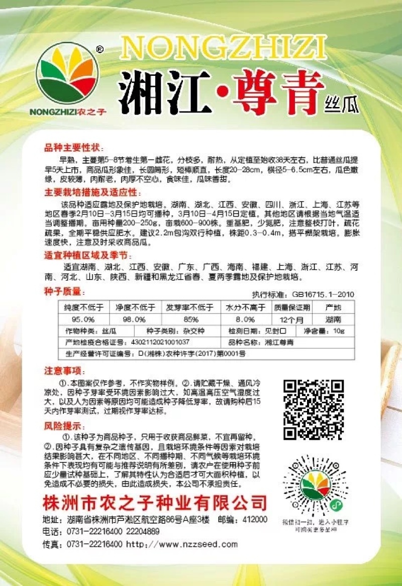 湘江尊青丝瓜杂交短棒微皱肉丝瓜基地用种紧实耐储运春夏季