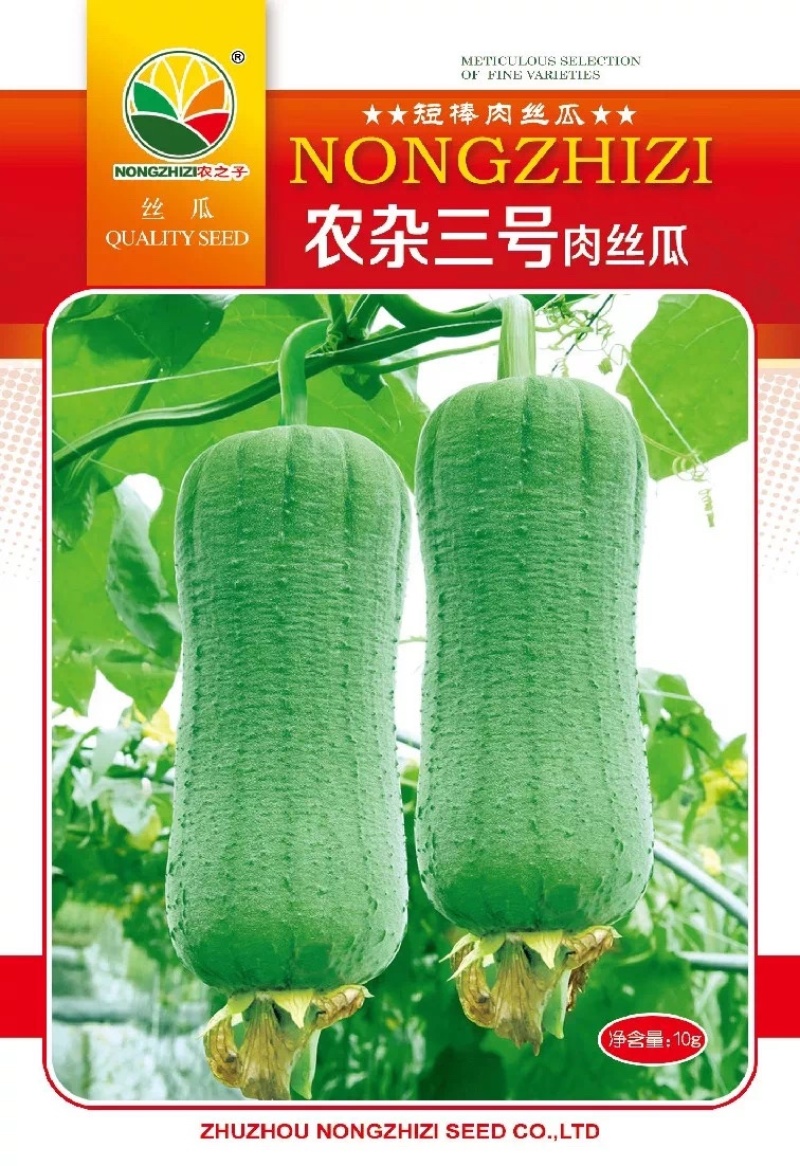 农杂三号台湾肉丝瓜种子杂交丝瓜微皱皮耐热产量高春夏