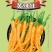 株洲王十万黄辣椒418黄皮线椒皱皮辣椒种子可鲜食可加工季农