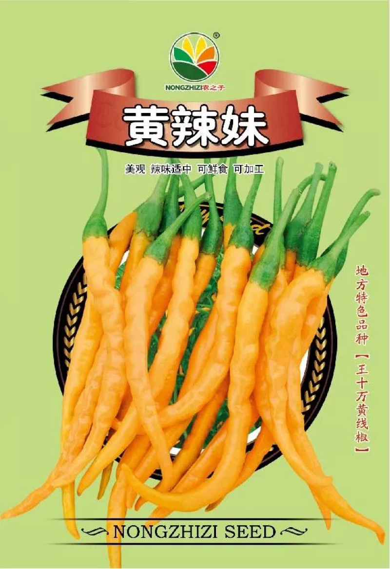 株洲王十万黄辣椒418黄皮线椒皱皮辣椒种子可鲜食可加工季农