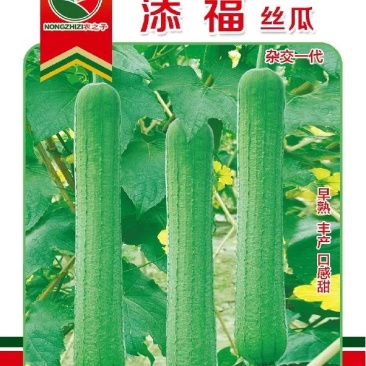 添福添财丝瓜种子添喜杂交肉丝瓜绿皮微皱早熟基地春夏