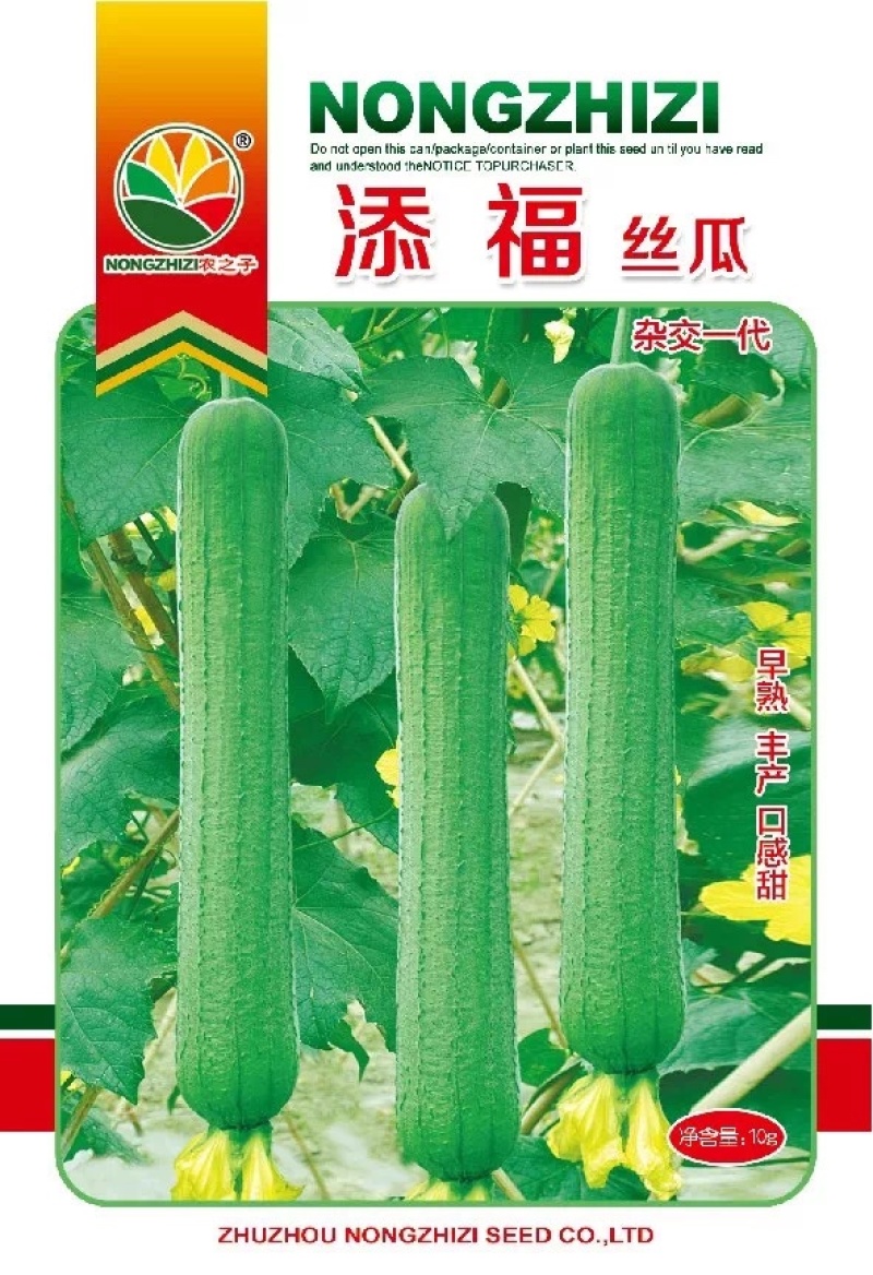 添福添财丝瓜种子添喜杂交肉丝瓜绿皮微皱早熟基地春夏