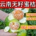 湖北特早蜜橘，青皮肉薄，酸甜可口，产地直发