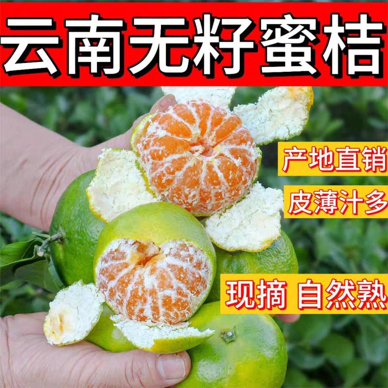 湖北特早蜜橘，青皮肉薄，酸甜可口，产地直发