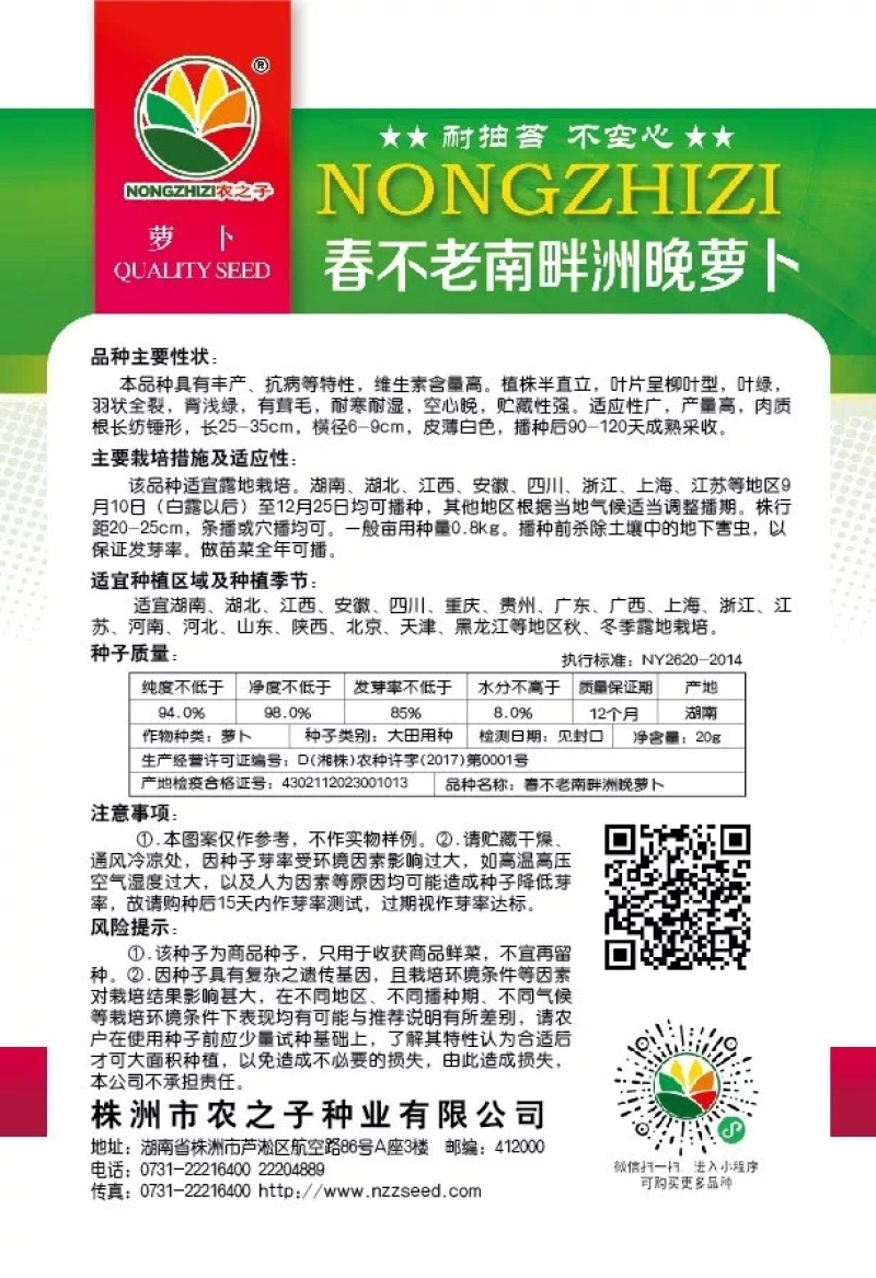 原种繁育南畔洲迟花晚大萝卜种子不空心秋冬阳台蔬菜种子