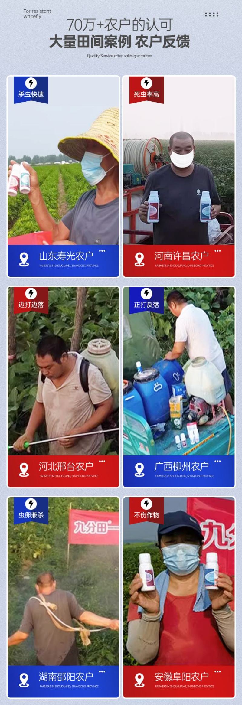 抗性白粉虱专用农药套餐20%呋虫胺啶虫脒杀虫杀卵