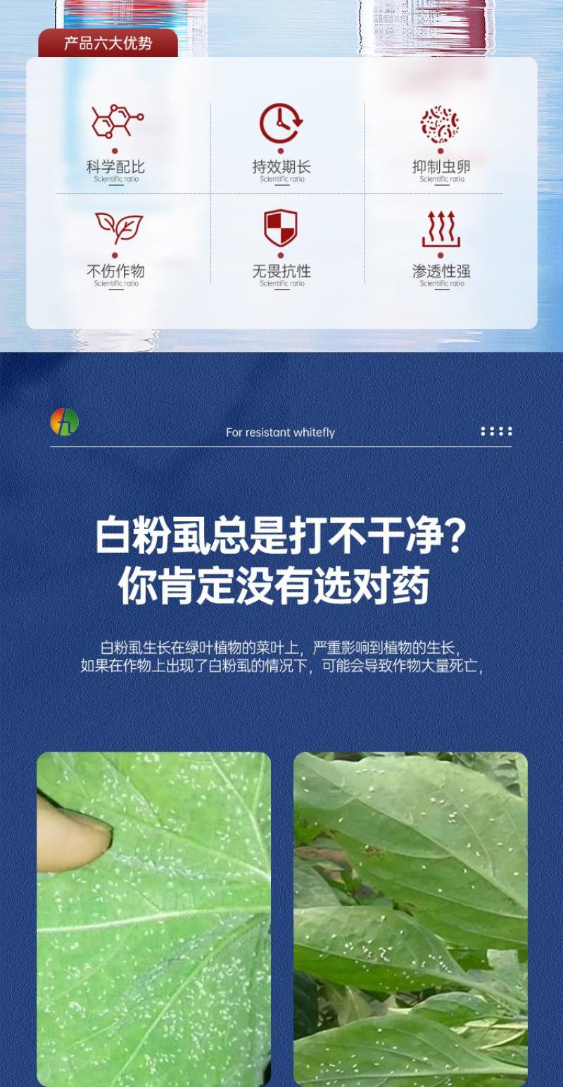 抗性白粉虱专用农药套餐20%呋虫胺啶虫脒杀虫杀卵
