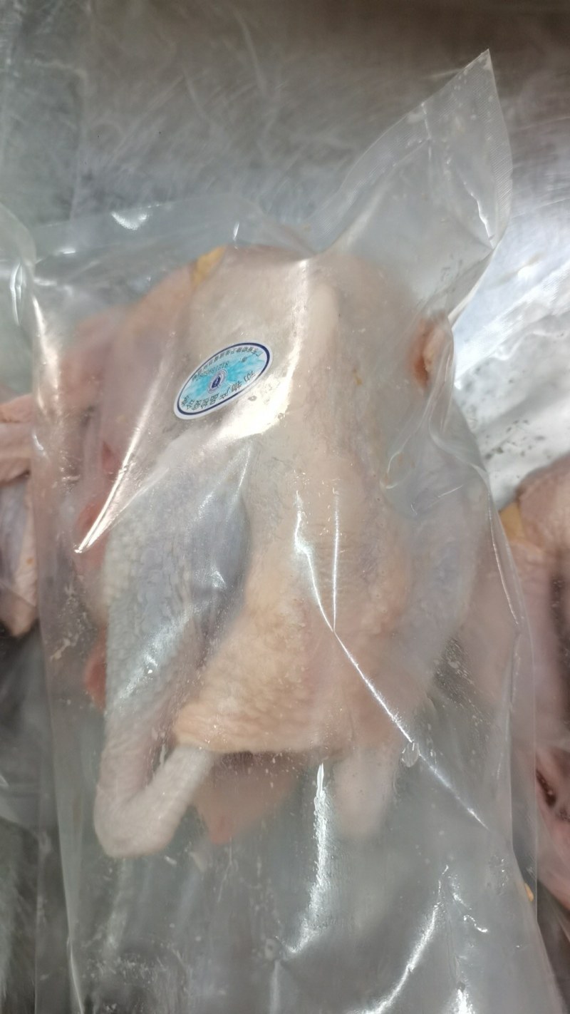 每天现宰鲜品，新鲜供货，适用于白切，清蒸，煲汤，欢迎咨询