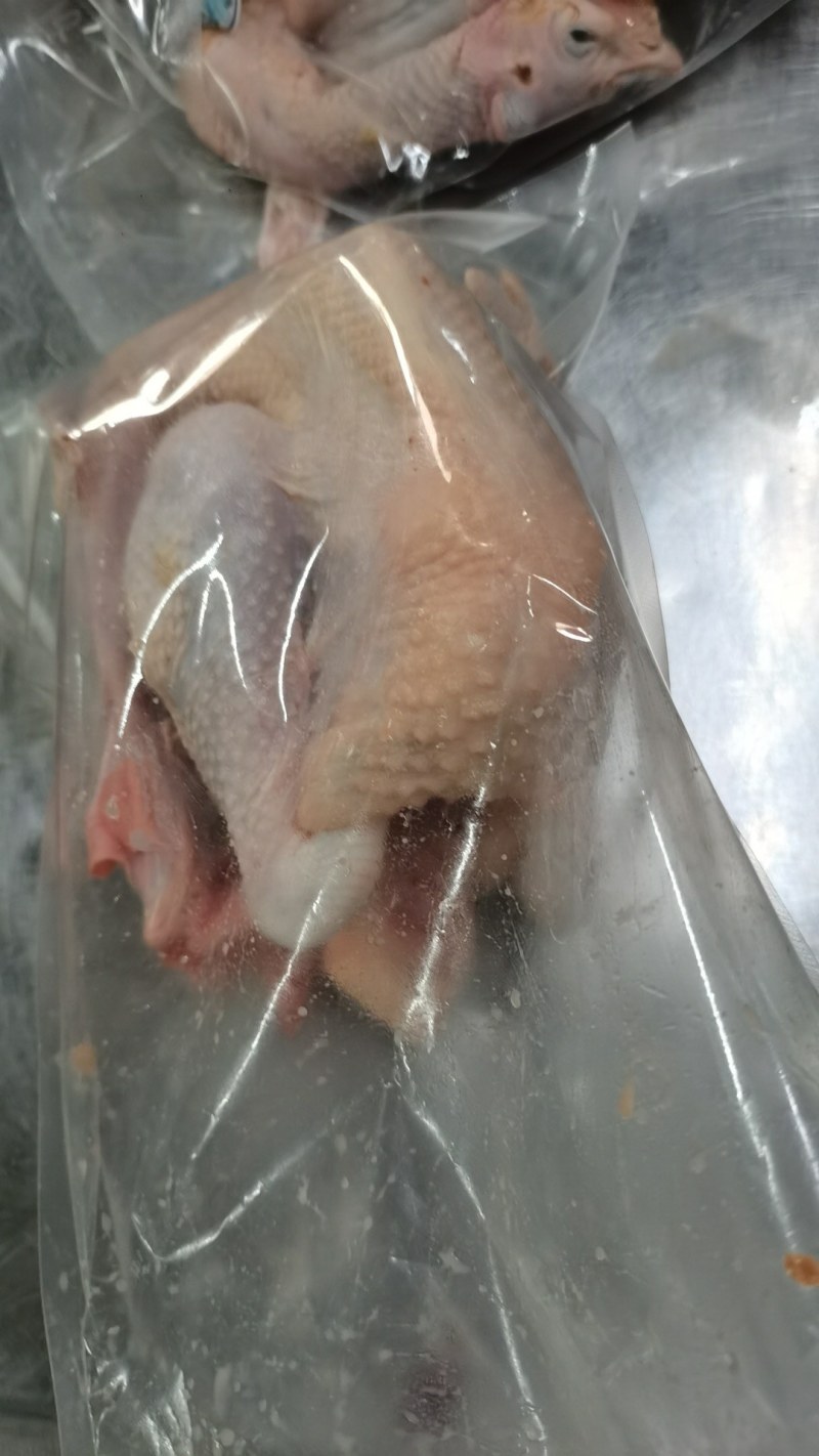 每天现宰鲜品，新鲜供货，适用于白切，清蒸，煲汤，欢迎咨询