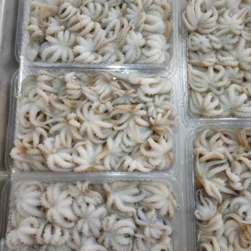 盐磨八爪一口小八爪