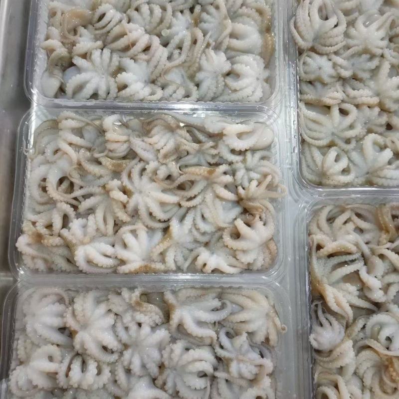盐磨八爪一口小八爪