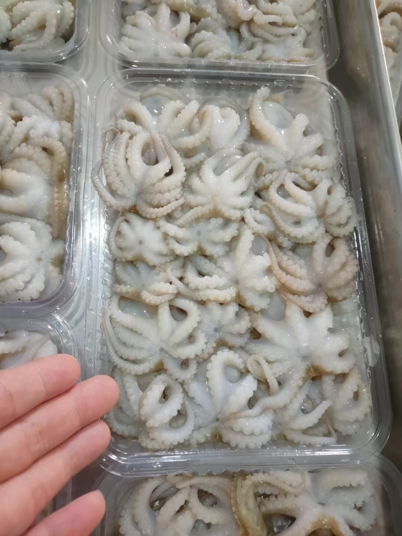 盐磨八爪一口小八爪