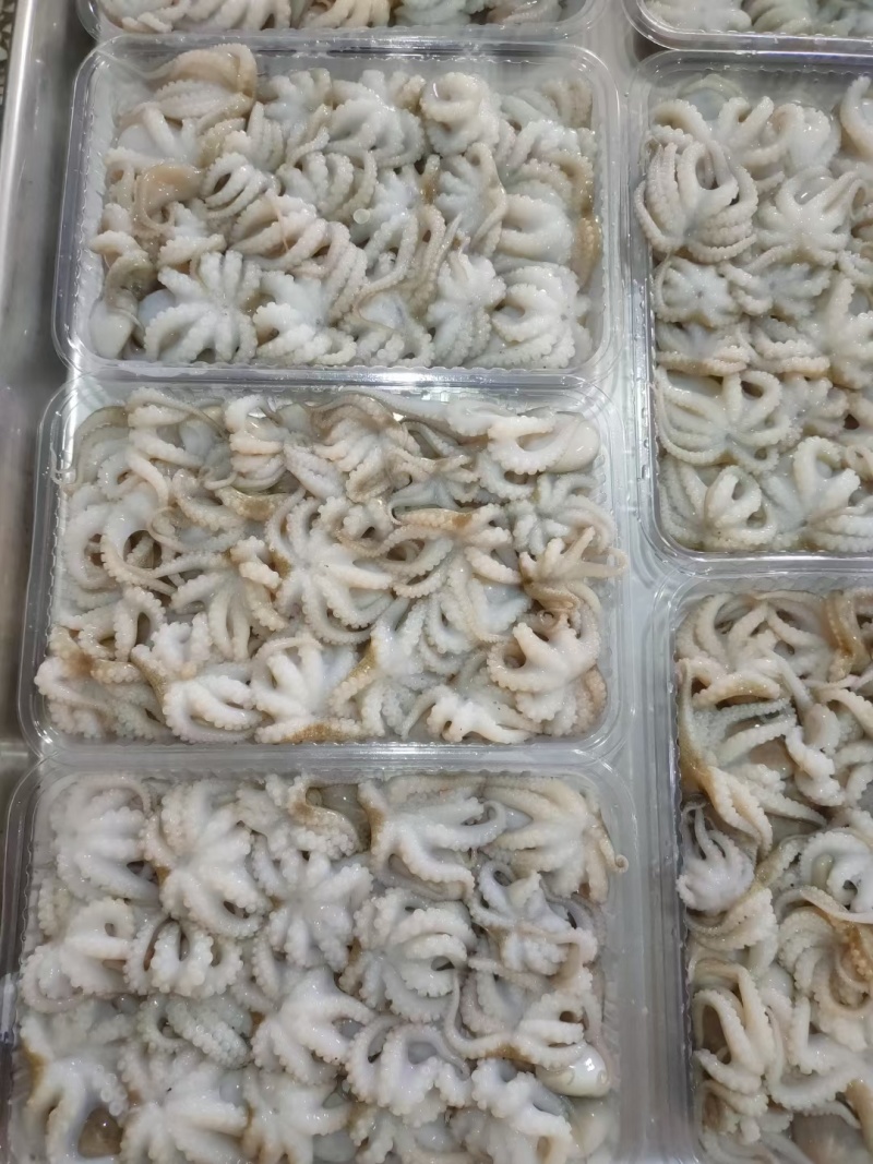 盐磨八爪一口小八爪