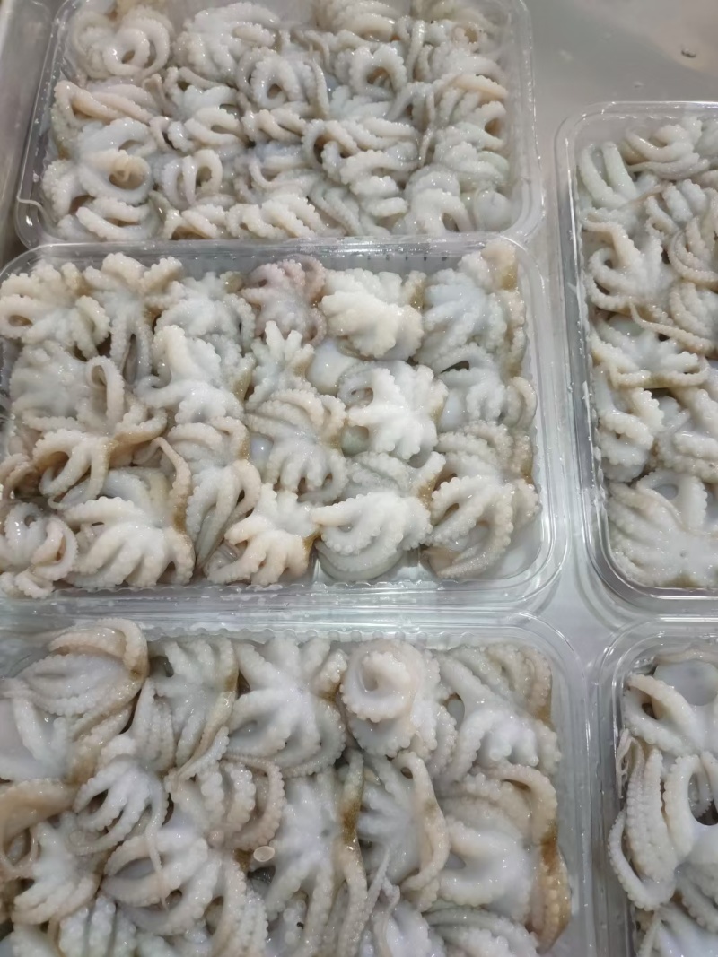 盐磨八爪一口小八爪