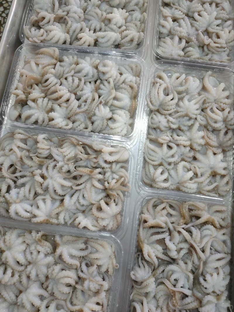 盐磨八爪一口小八爪