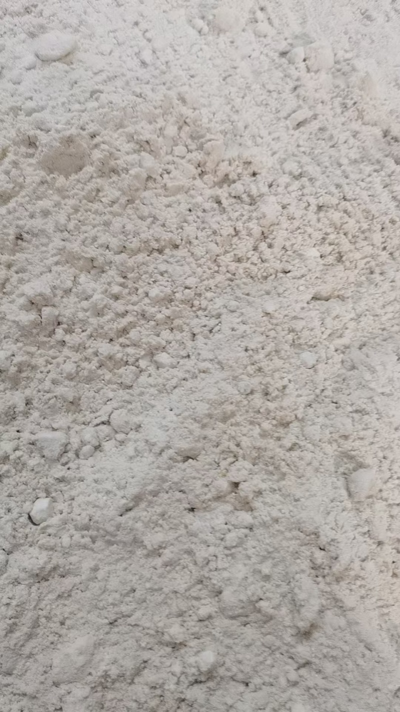 玉米油渣粉