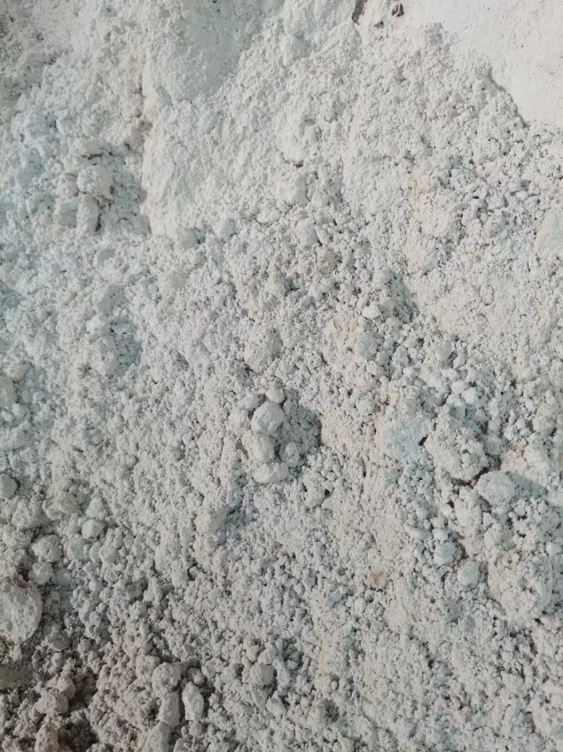 玉米油渣粉