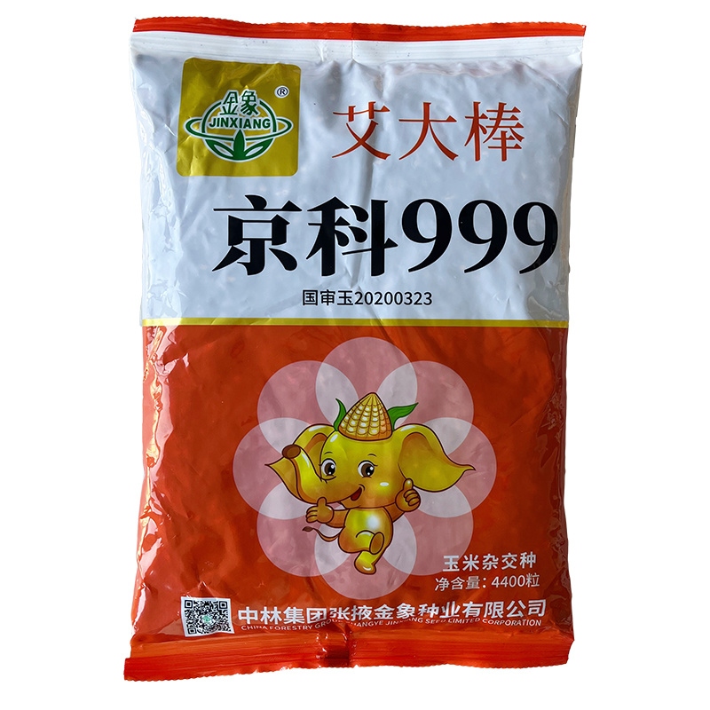 青贮饲料玉米，国审高产大棒青贮玉米饲料玉米种子，抗病抗倒