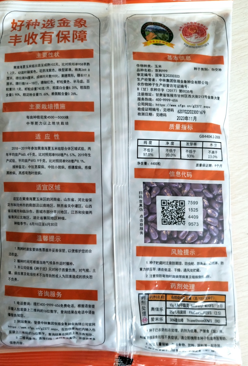 青贮饲料玉米，国审高产大棒青贮玉米饲料玉米种子，抗病抗倒