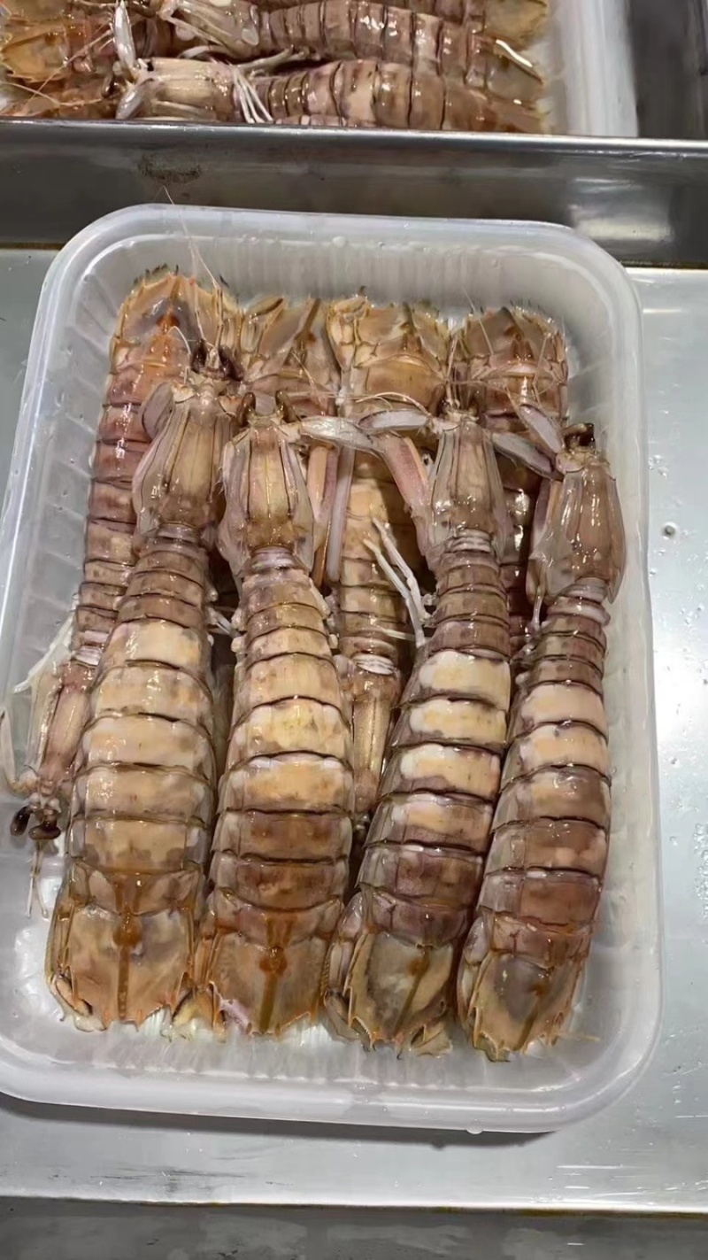 皮皮虾，长期加工生产大小包装