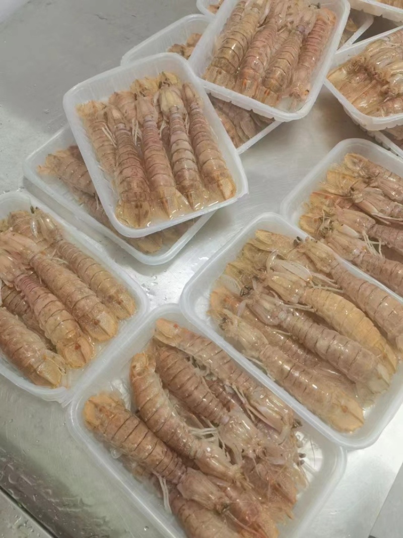 皮皮虾，长期加工生产大小包装