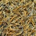 全品类滇红功夫茶，原生态大叶种红茶(滇红)，野生红茶