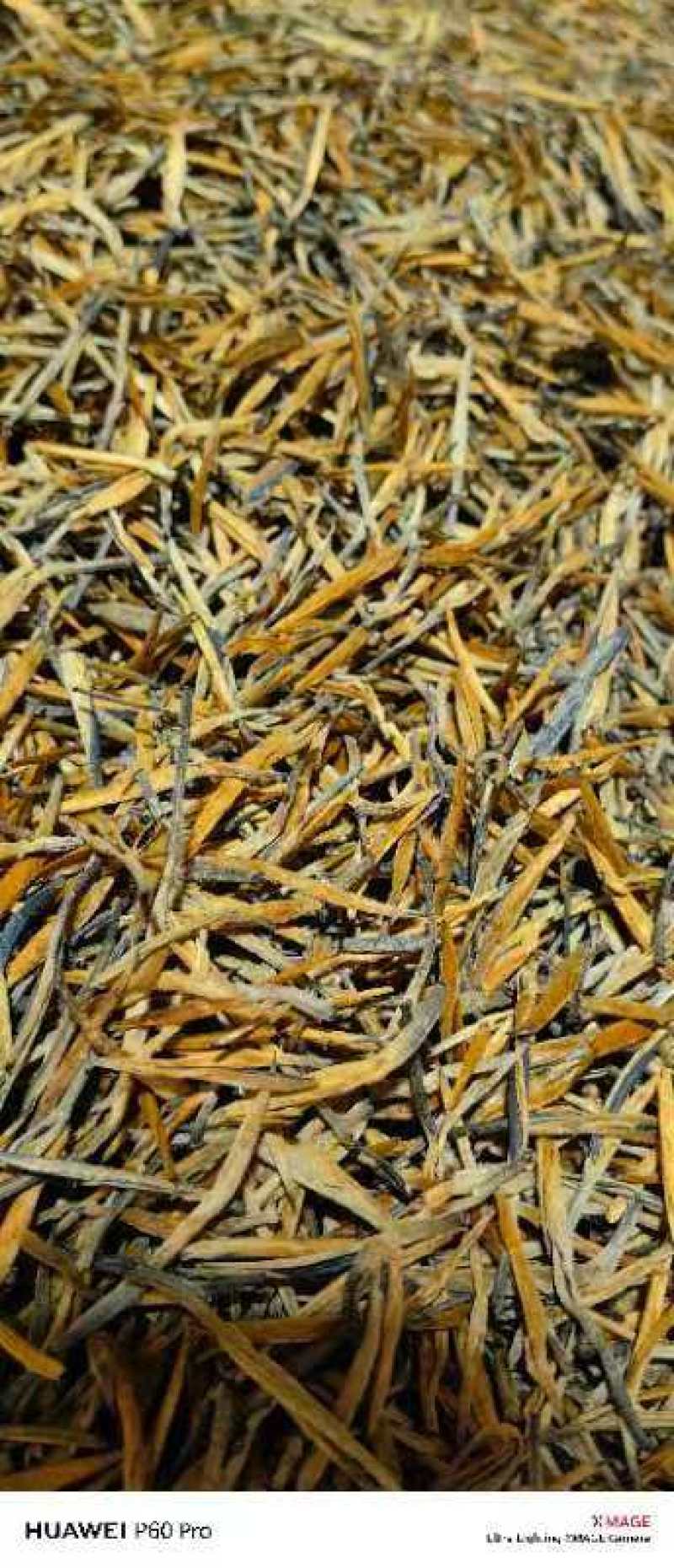 全品类滇红功夫茶，原生态大叶种红茶(滇红)，野生红茶