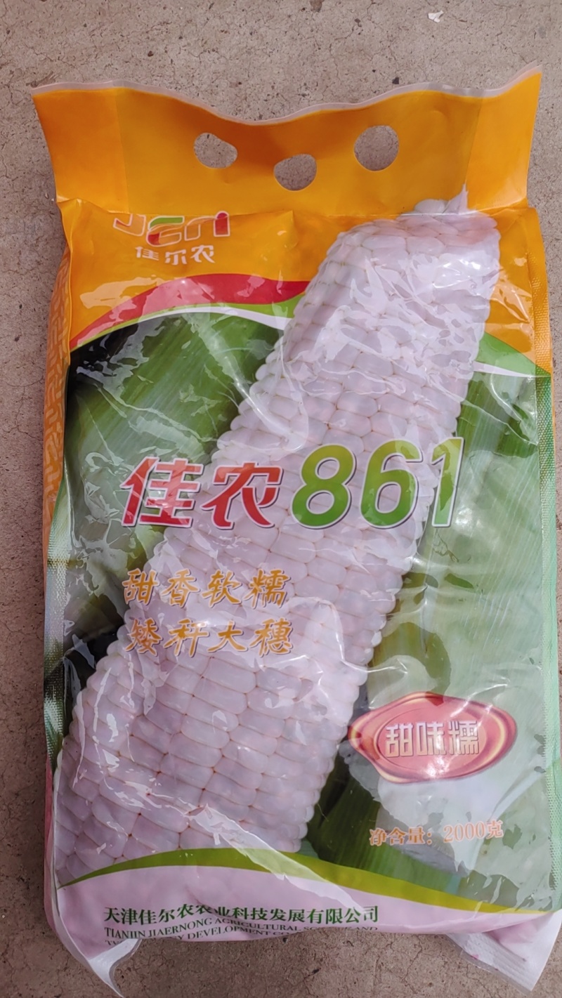 糯玉米大量现货水果玉米现货现发，品相好源头发货，一手货源