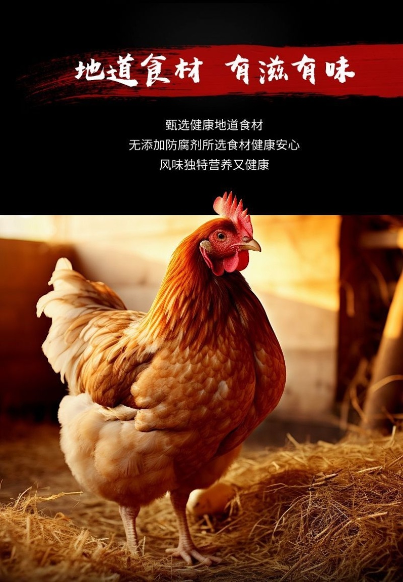 正宗四川特产辣子鸡麻辣真空包装下酒菜小吃追剧零食重庆干煸