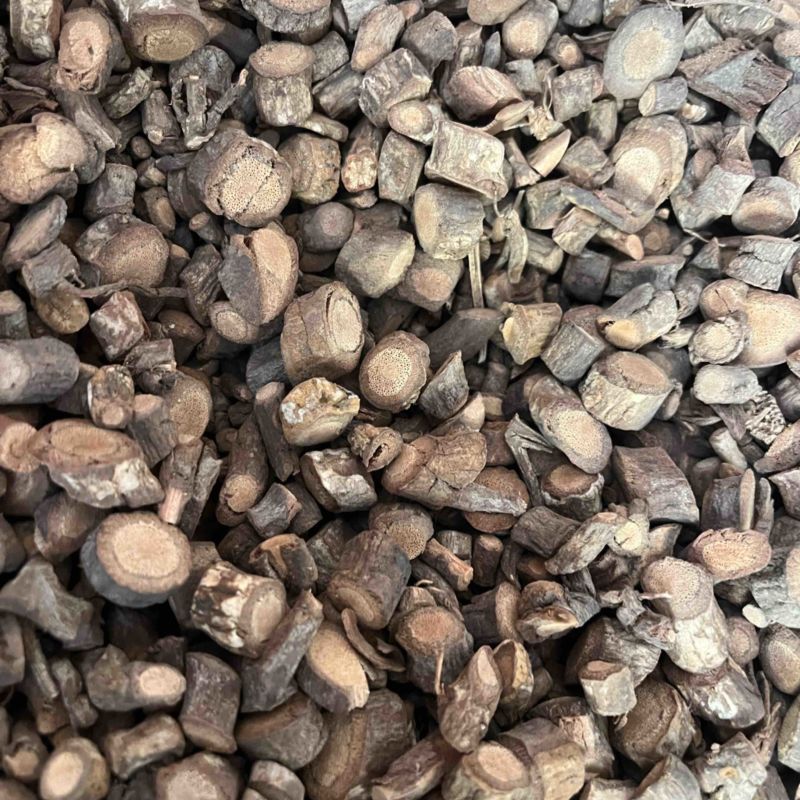 黑老虎根部黑老虎根部阳枝都有