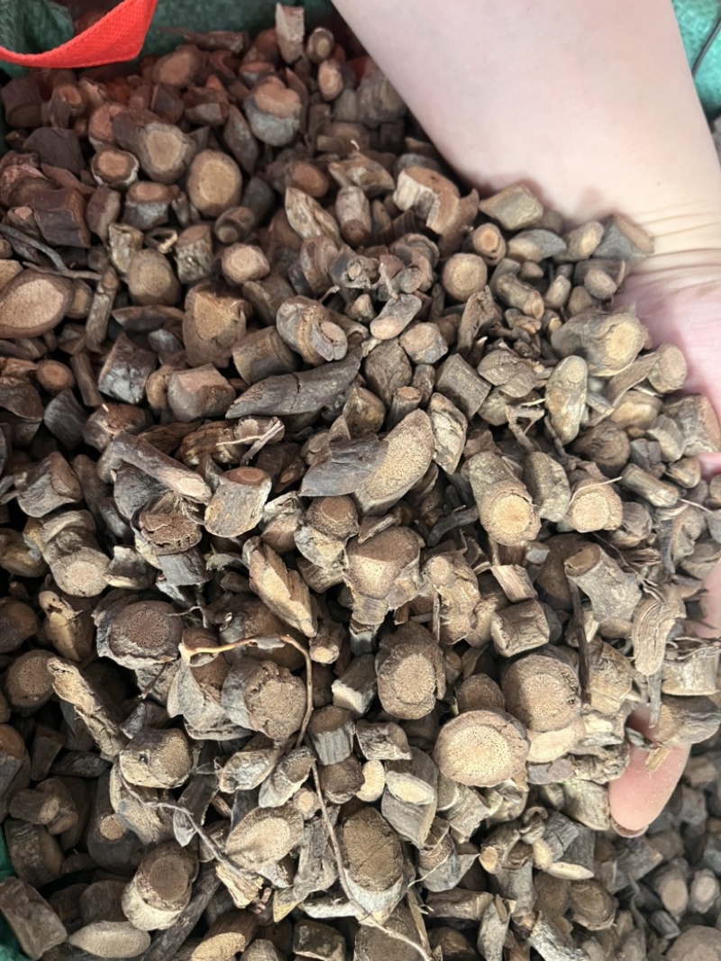 黑老虎根部黑老虎根部阳枝都有