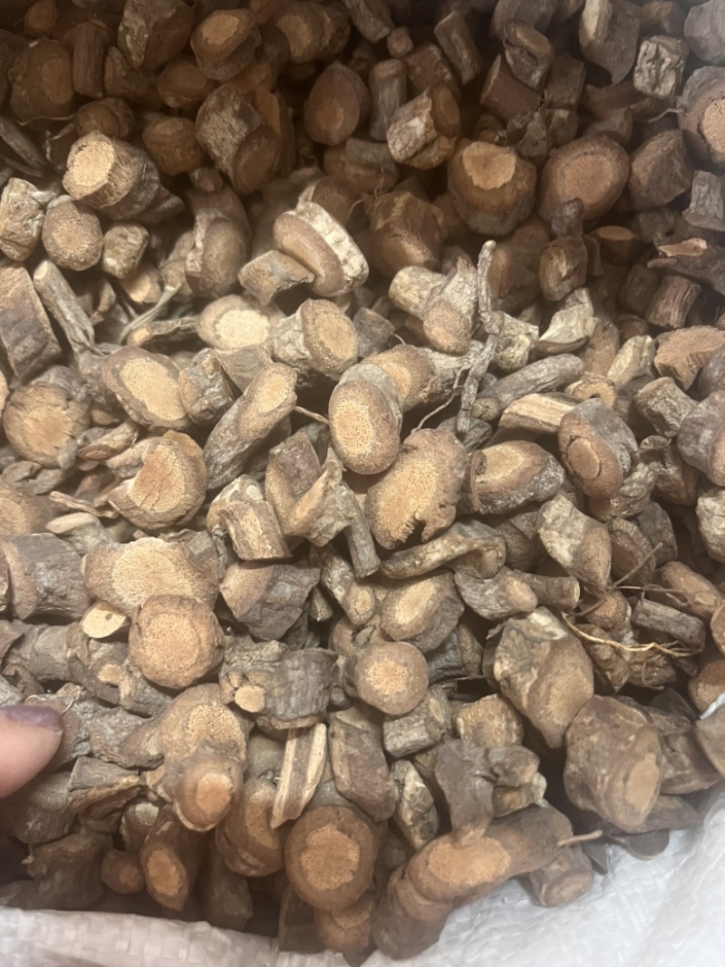 黑老虎根部黑老虎根部阳枝都有