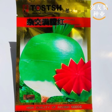 天禧满芯红萝卜种子血红瓤心里美萝卜种子甜脆萝卜种籽