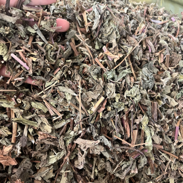 薄荷薄荷一公斤起发量大从优