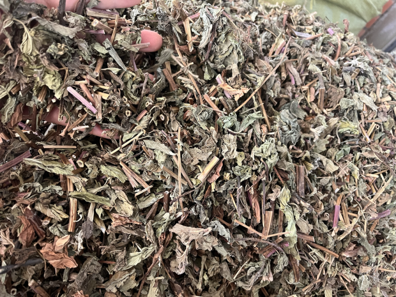 薄荷薄荷一公斤起发量大从优