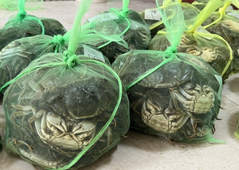 精品六月黄🦀️🦀️可接单
