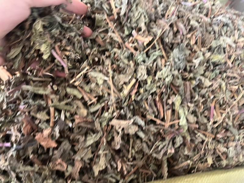 薄荷薄荷一公斤起发量大从优