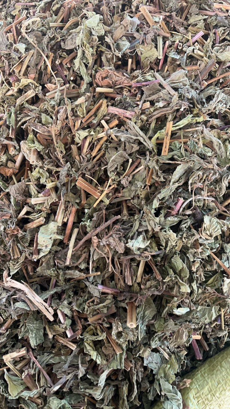 薄荷薄荷一公斤起发量大从优
