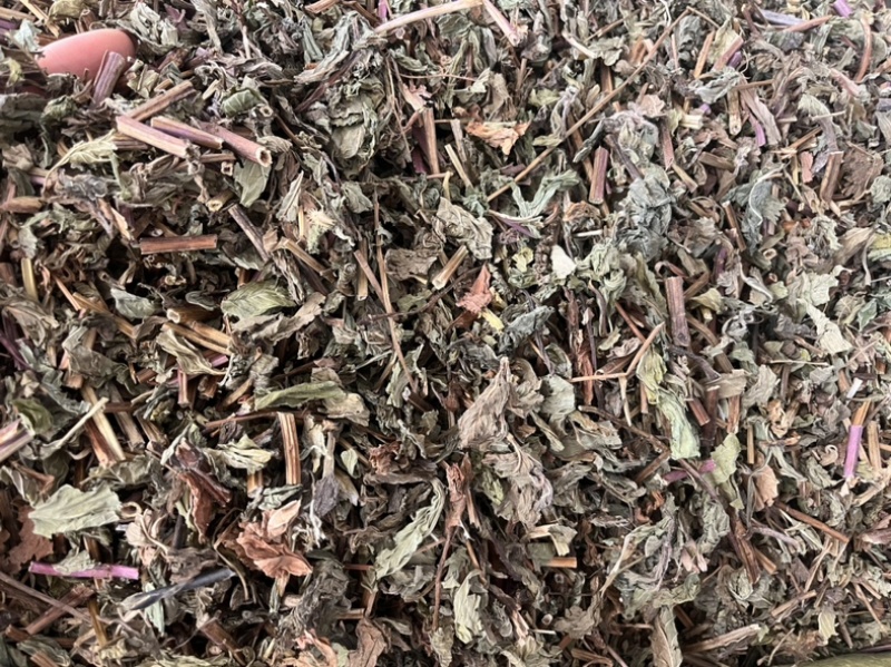 薄荷薄荷一公斤起发量大从优