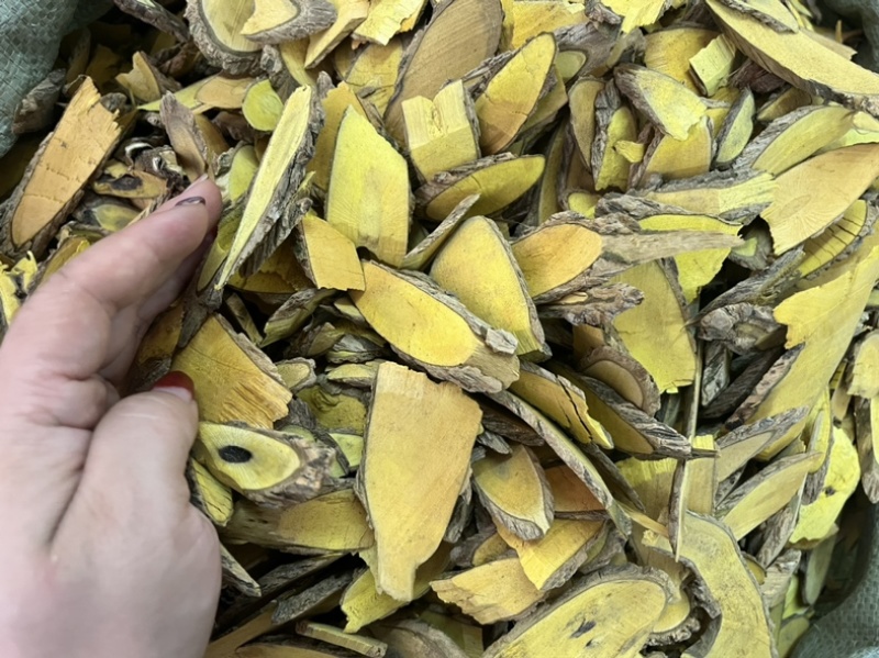 十大功劳木十大功劳