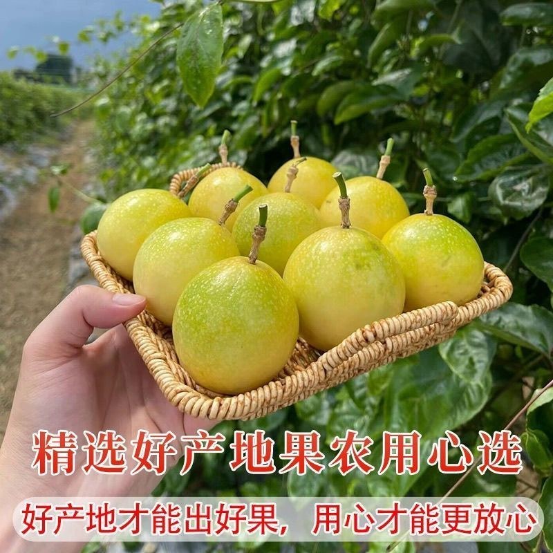 海南钦蜜9号百香果支持一件代发，原产地发货，质量好售后低