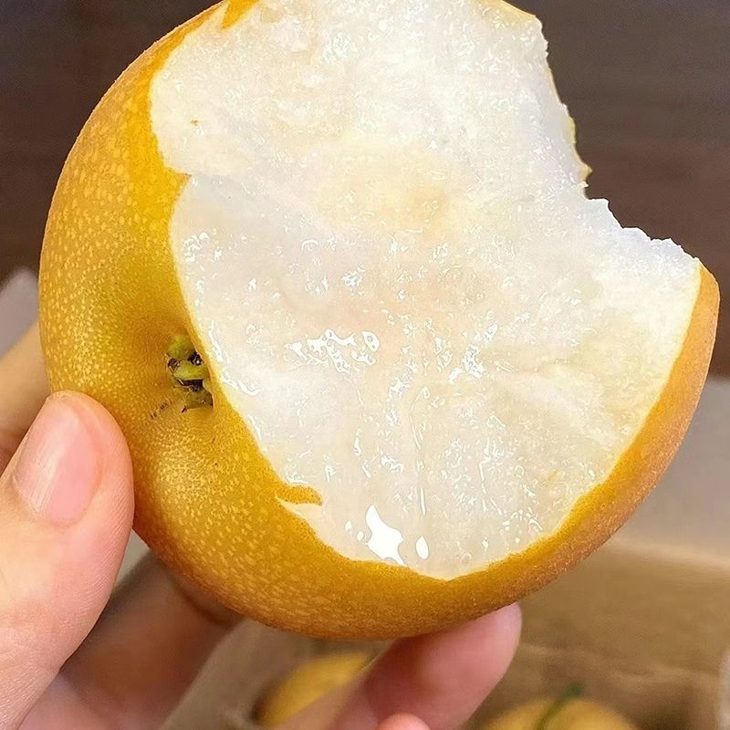 秋月梨产地直接发货，支持一件代发，电商平台对接