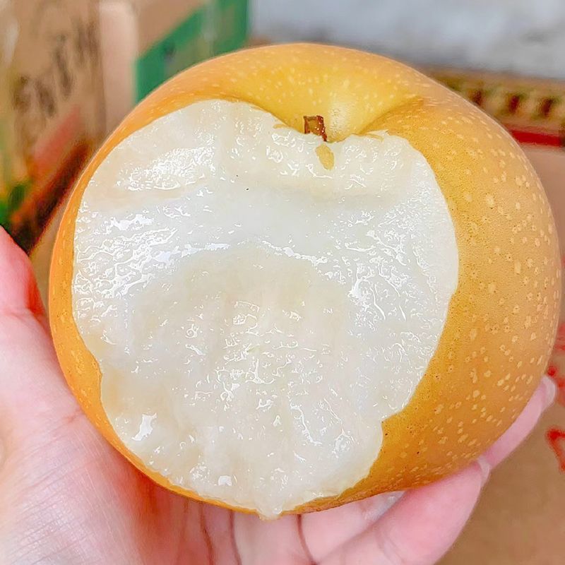秋月梨产地直接发货，支持一件代发，电商平台对接