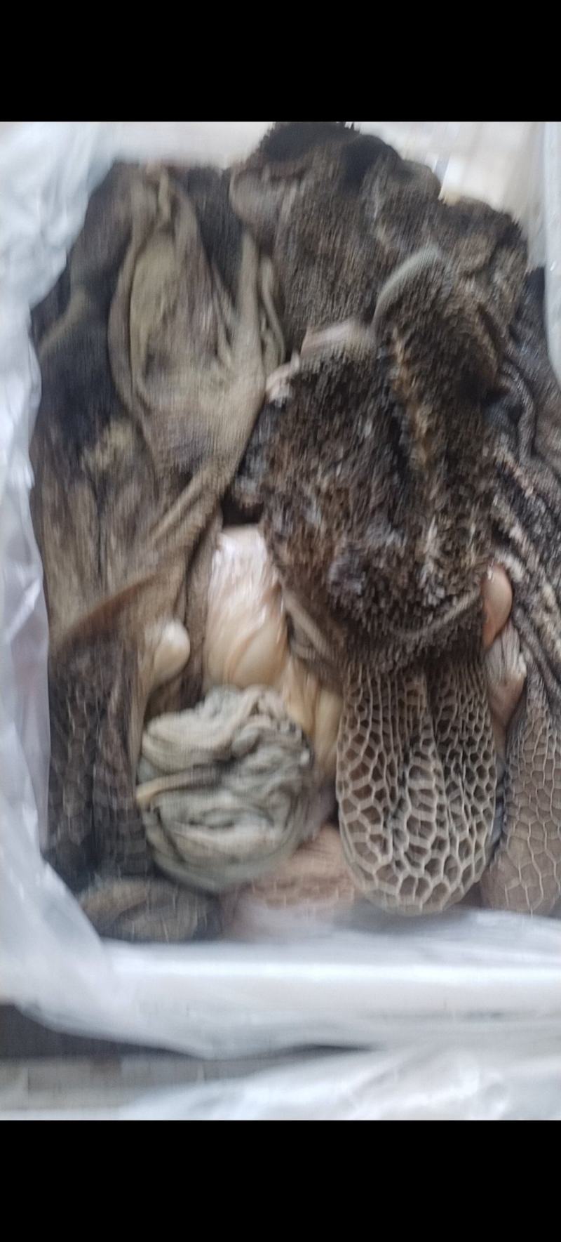 毛羊肚纯干无水有要的老板联系