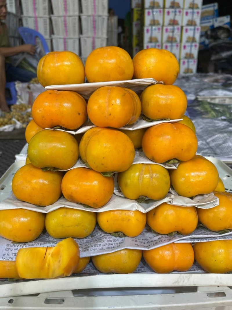 阳丰脆柿子，支持一件代发，电商平台对接发货