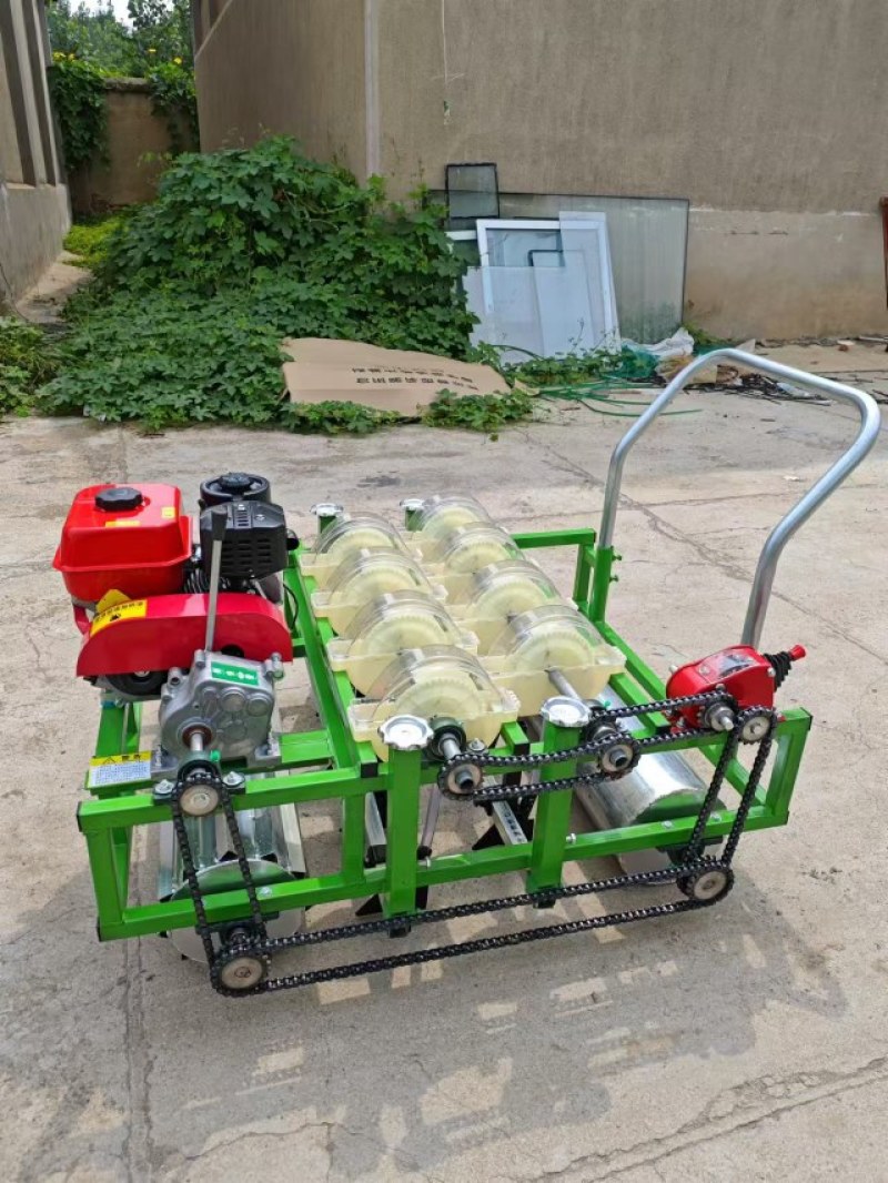 汽油款双排双驱动蔬菜药材免间苗播种机小粒种子精量播种机