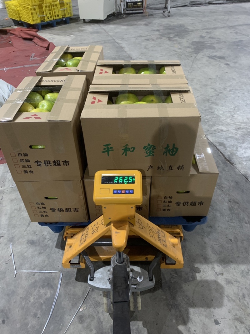 福建红宝石青柚种植基地，百亩基地采摘欢迎合作洽谈
