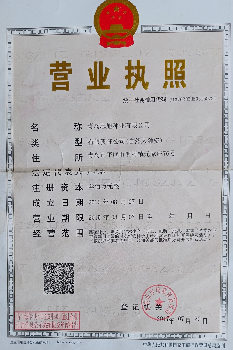 嫁接苦瓜砧木苦瓜嫁接砧木种子苦瓜嫁接专用砧木