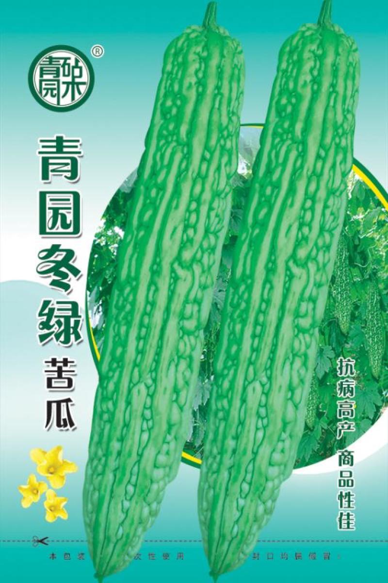苦瓜种子杂交苦瓜种子翠绿苦瓜种子抗病能力强肉厚味正大棚陆